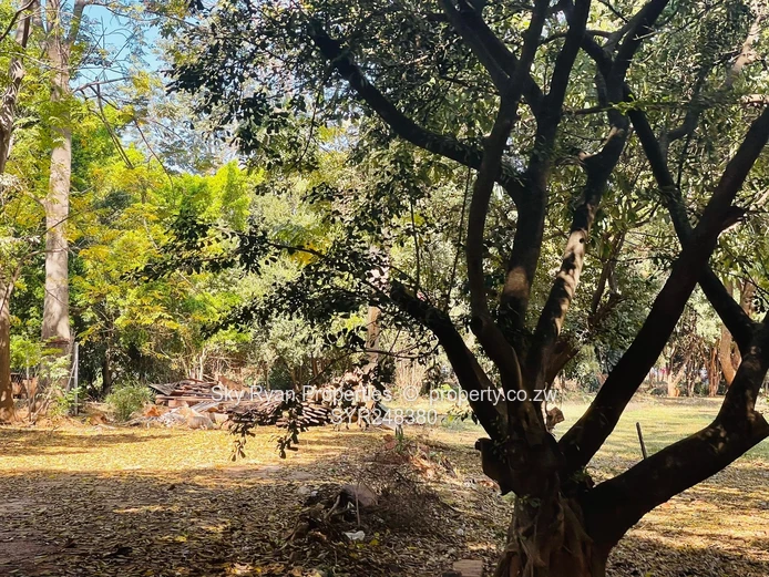 Hicc Cbd Commercial Land For Sale