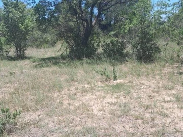 Beatrice Farm For Sale 
