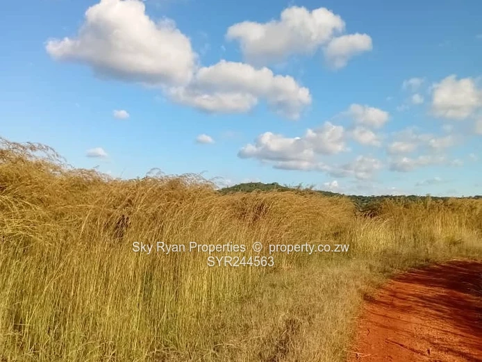 Acturus Of Cromlet Plots For Sale 