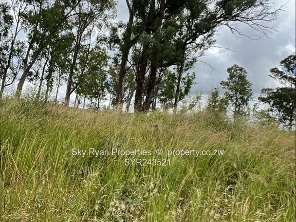 Cowfold Gweru Shopping Centre Stand For Sale