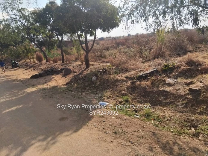 Glaudina Commercial Stand For Sale