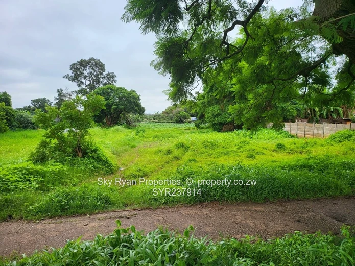 Mabelreign Stand For Sale