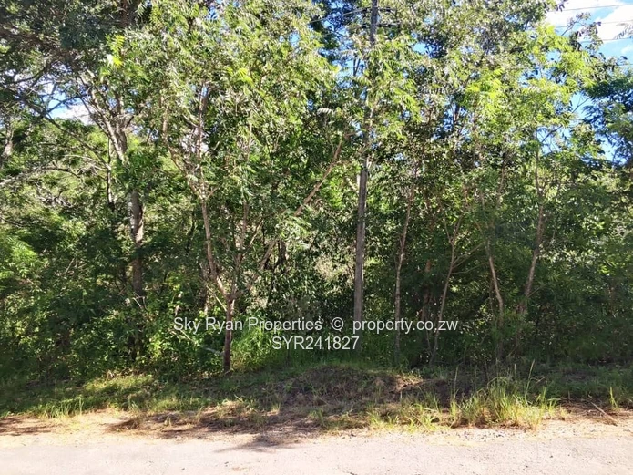 Glen Lorne  Stand For Sale