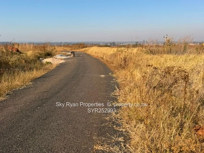 Nyeredzi Ridge Pomona Stand For Sale