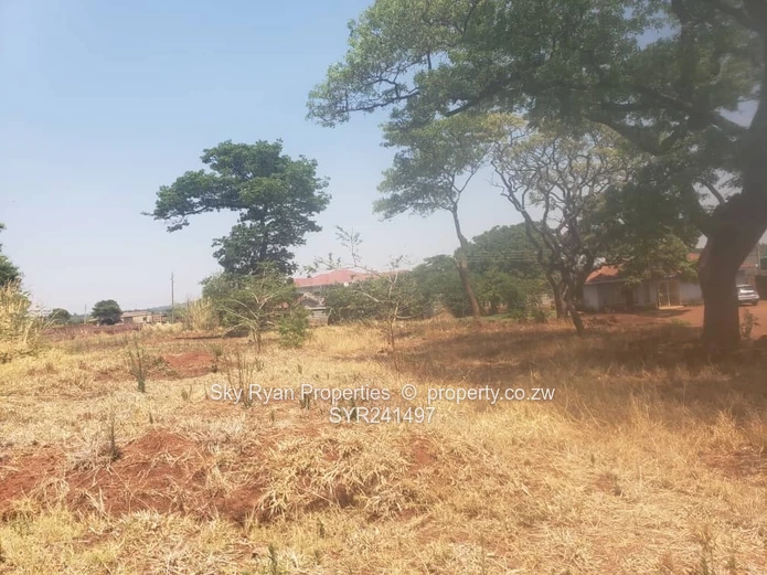 Gletwin Stand For Sale