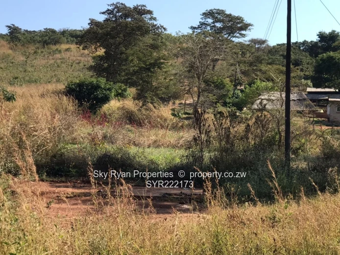 Arcturus plot for sale!*