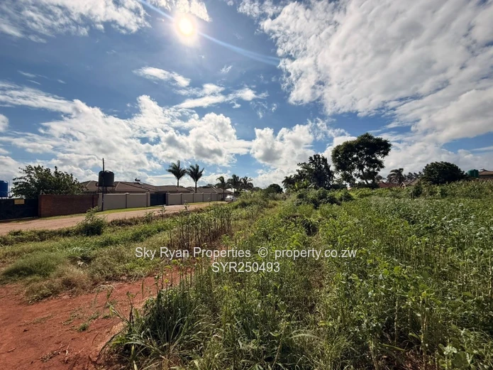 Westgate Stands For Sale- Choice Of 3 