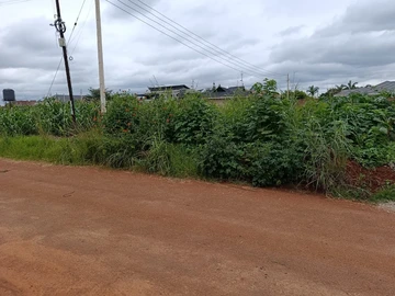 Stands & Residential Land