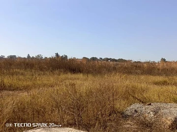 Stands & Residential Land