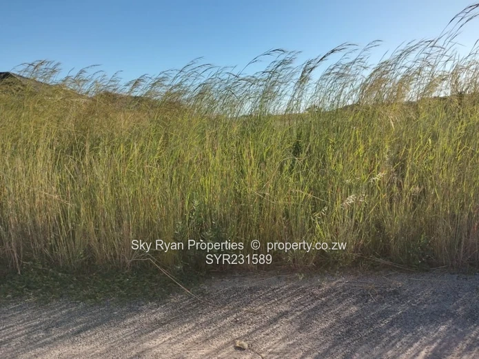 Ruwa Rockview Stand For Sale 