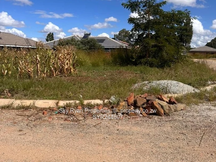 Cold Comfort Stand For Sale