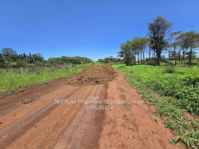 Tynwald Stands For Sale 