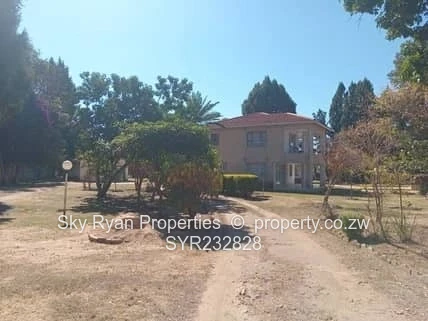 House In Marlborough For Sale 