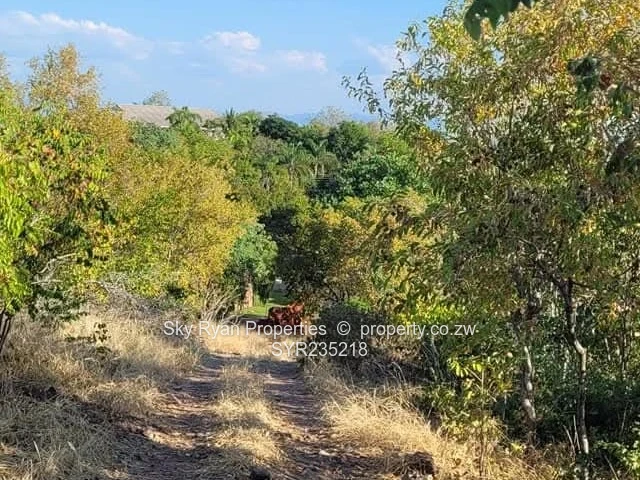 Kariba Stand For Sale