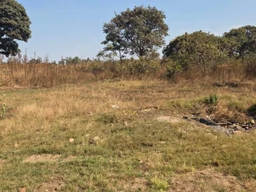 Land