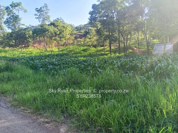 Carrick Creagh Stands  For Sale