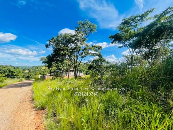 CARRICK CREAGH 2 STANDs FOR SALE