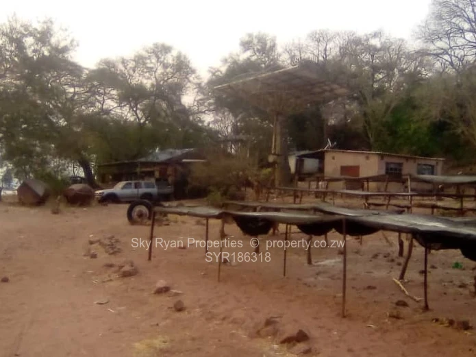 Kariba Land For Sale 