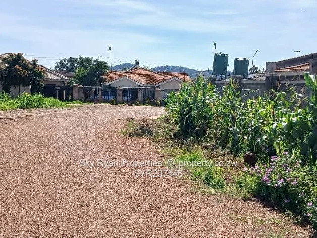 Cold Comfort Stand For Sale 