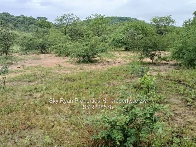Chinhoyi Farm For Sale