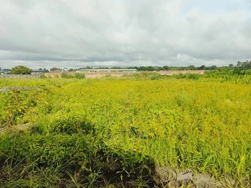 Farm & Agricultural Land