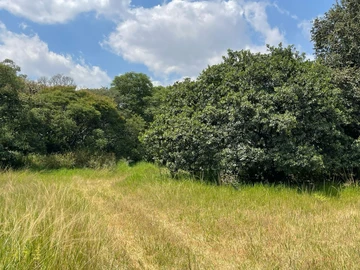 Commercial & Industrial Land