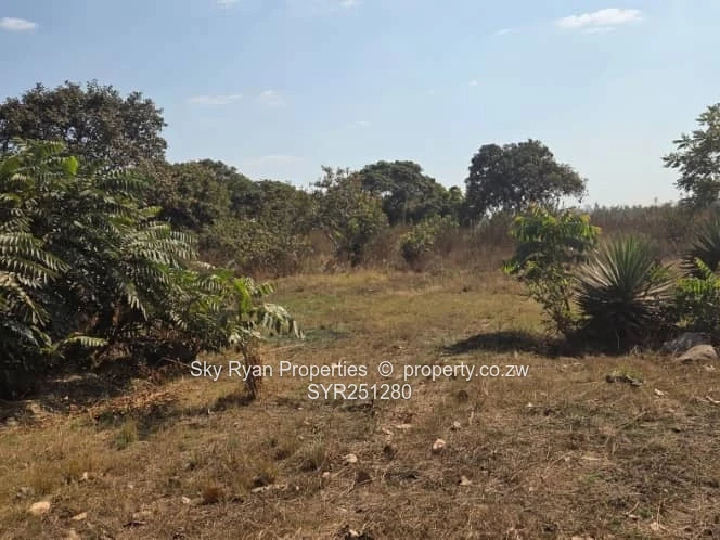 Spitzkop Plot For Sale