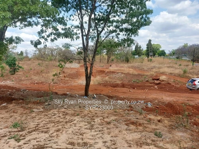 Borrowdale Stands For Sale