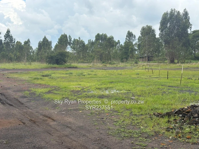 Mount Hampden Industrial stands for sale 