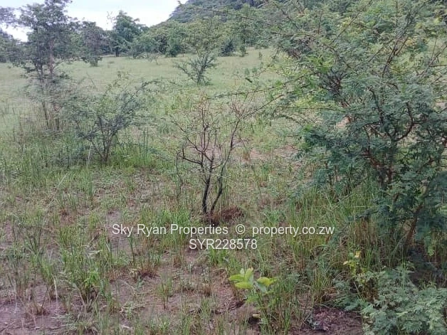 Chinhoyi Farm For Sale