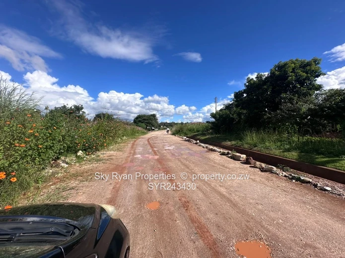 Hogerty Hill Stand For Sale