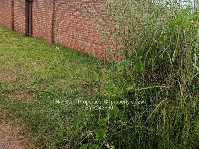 Mt Pleasant Heights Stand  For Sale