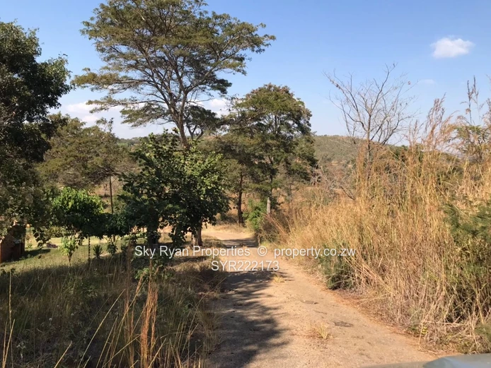 Arcturus plot for sale!*