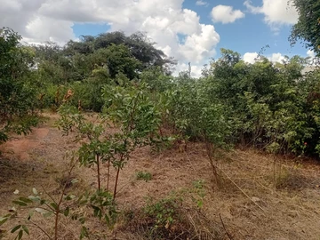 Commercial & Industrial Land