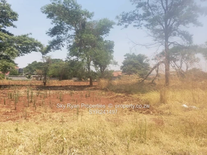 Gletwin Stand For Sale