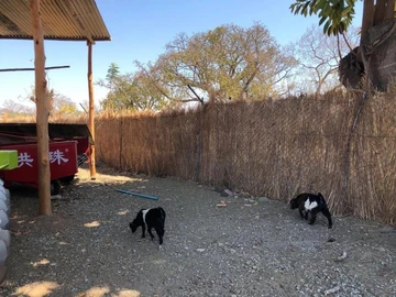 Farm & Agricultural Land