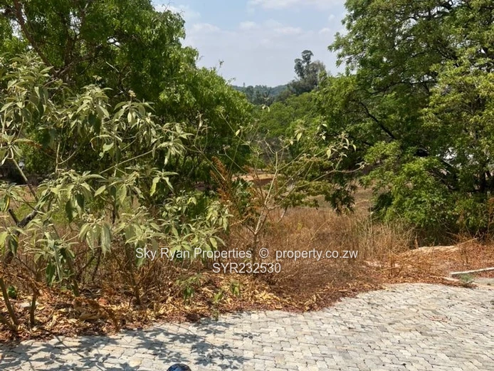 Umwinsidale Land For Sale