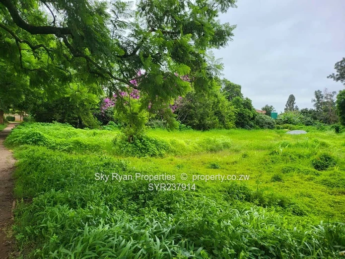 Mabelreign Stand For Sale