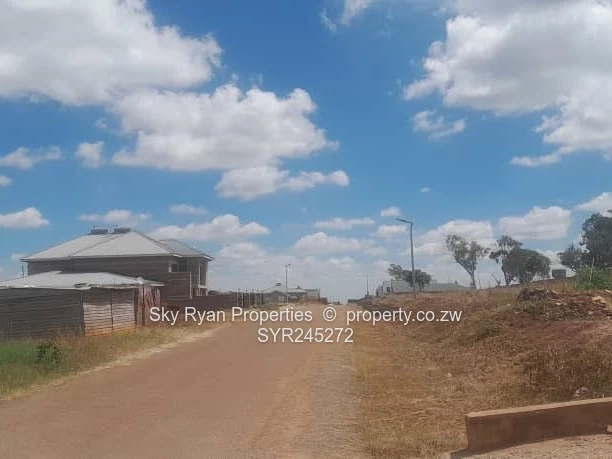 Pomona Nyeredzi Ridge Stand For Sale 