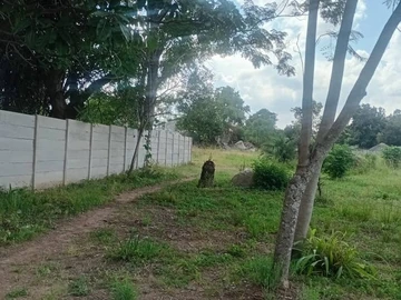 Stands & Residential Land