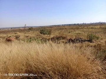 Stands & Residential Land