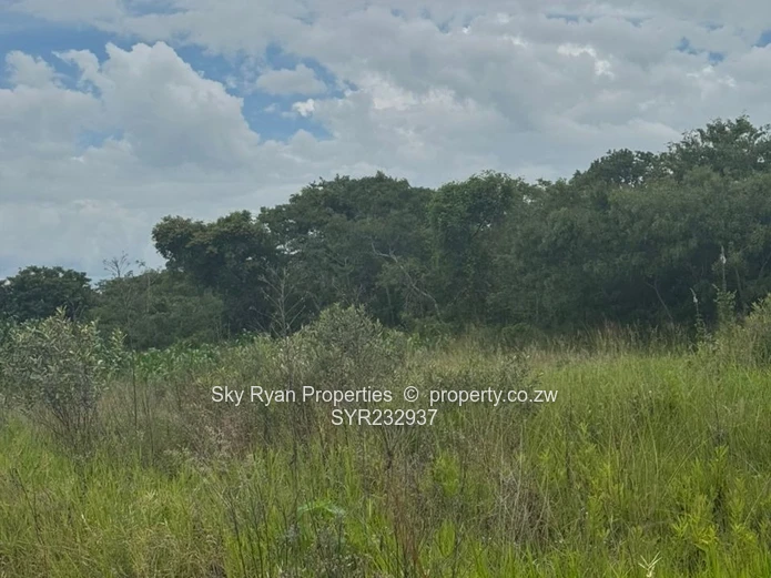 Ruwa Virgin Land For Sale