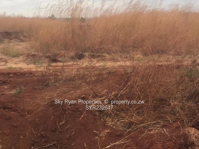 Pomona Nyeredzi Ridge Stands For Sale 