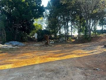 Land