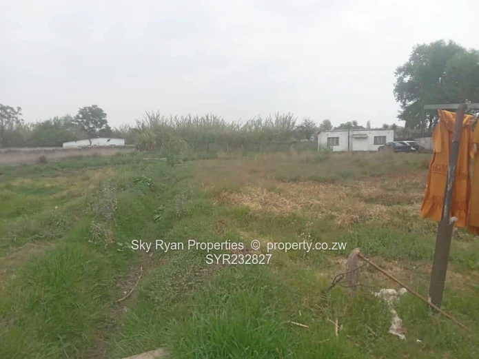 Meyrick Park Property For Sale