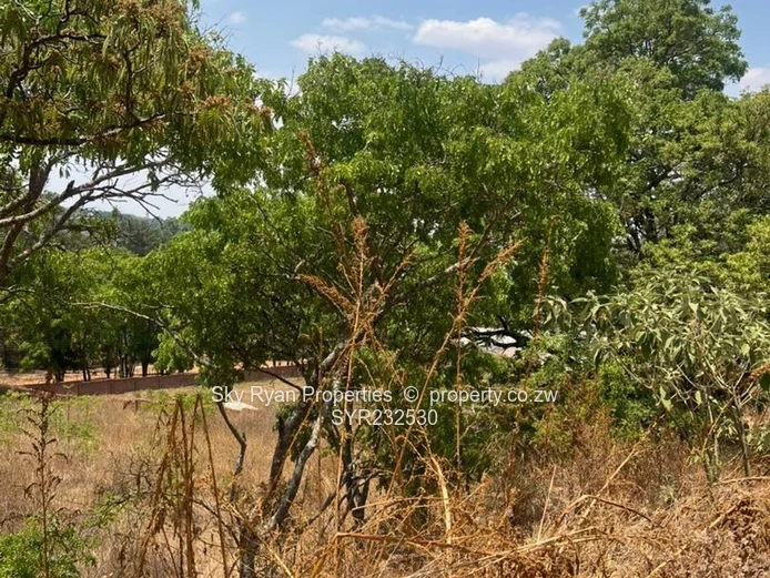 Umwinsidale Land For Sale