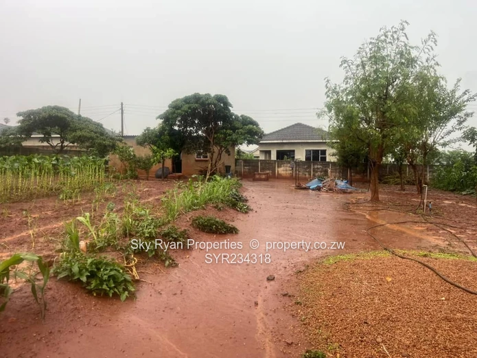 Cold Comfort Stand For Sale