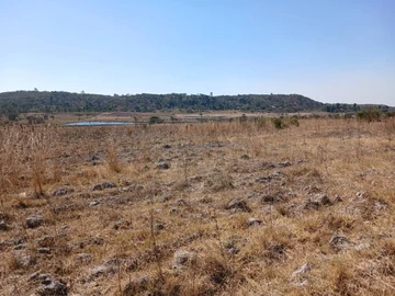 Farm & Agricultural Land