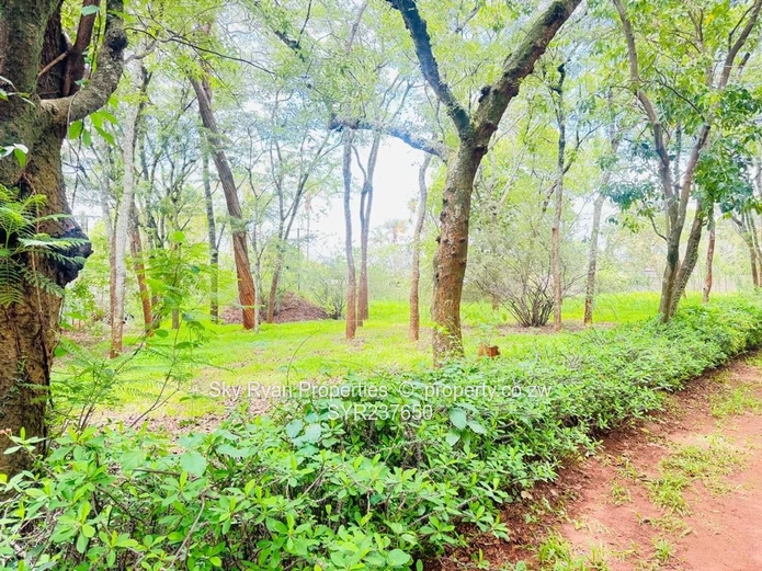 Highlands House For Sale