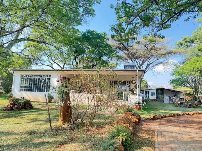 Borrowdale Luna Stand For Sale